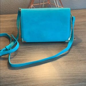Blue Crossbody or Clutch